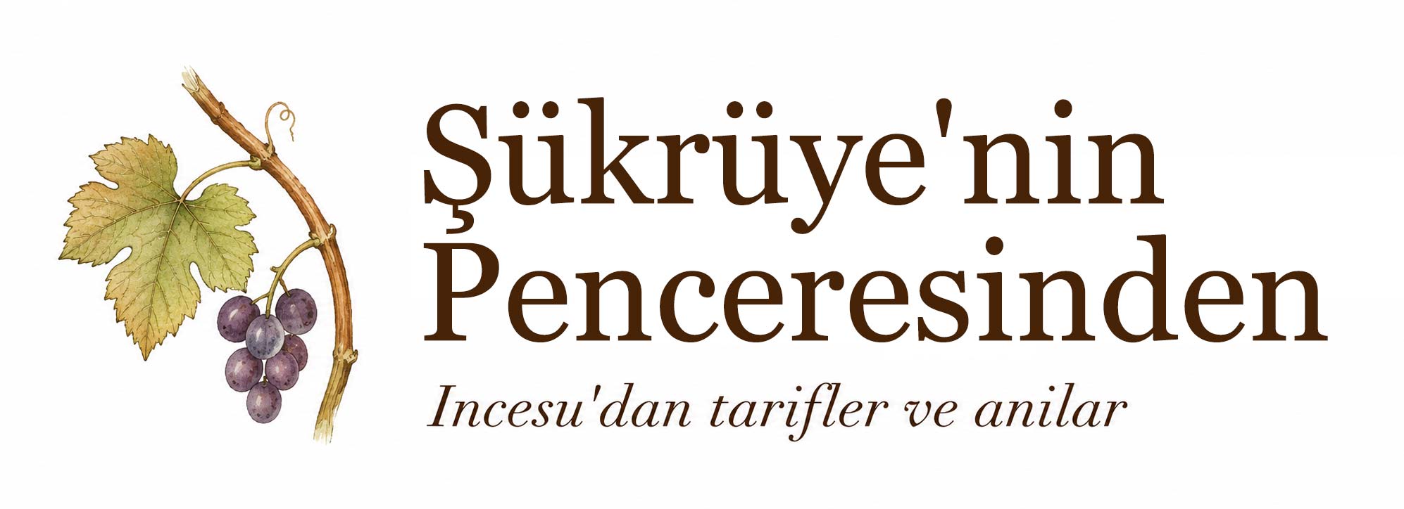 Şükrüye'nin Penceresinden